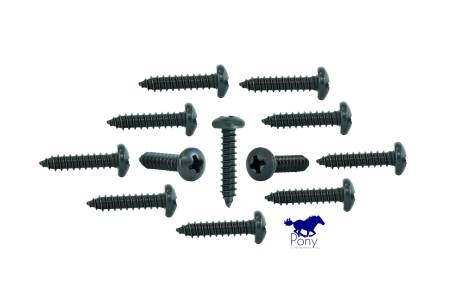Mustang II Door Sill Plate Screws