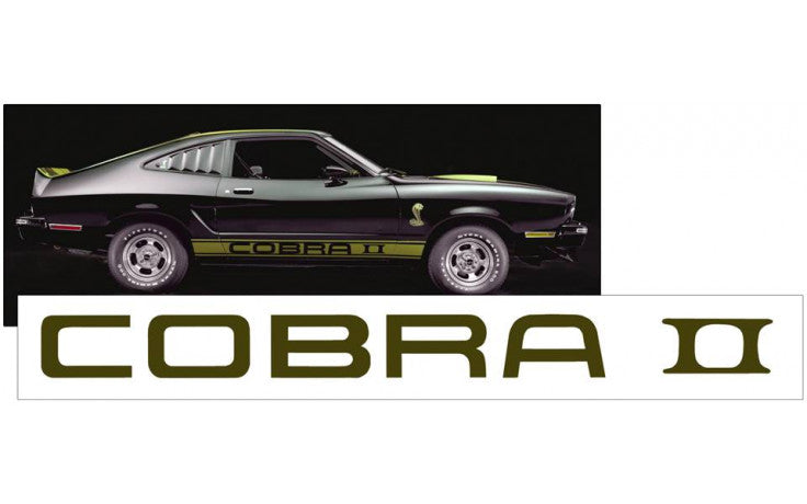 1975-77 Cobra II Spoiler Decal